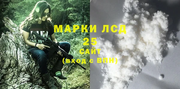 трава Корсаков
