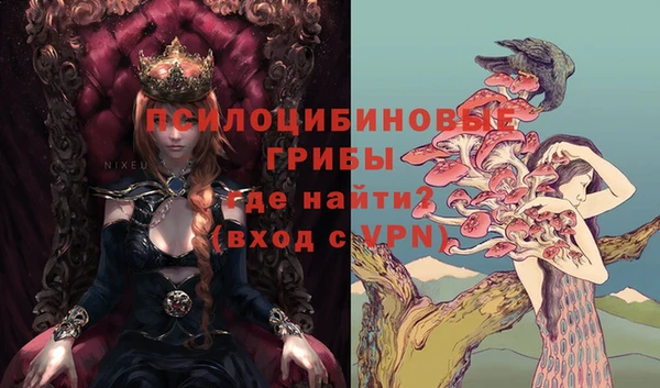 молекула духа Красноперекопск