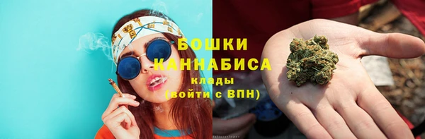 трава Корсаков