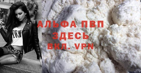 трава Корсаков