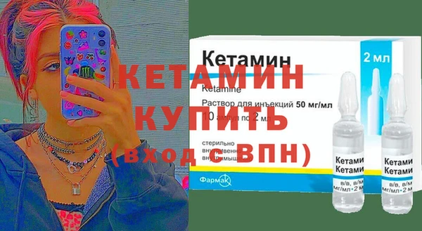 трава Корсаков