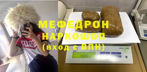 трава Корсаков