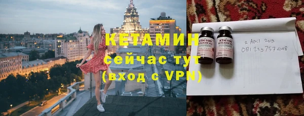 трава Корсаков