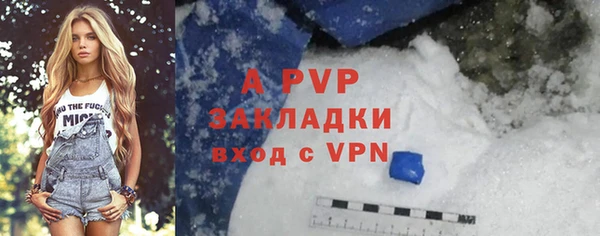 трава Корсаков