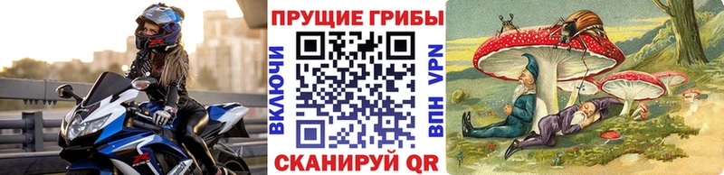 Галлюциногенные грибы Cubensis  Купить закладки  Валуйки 